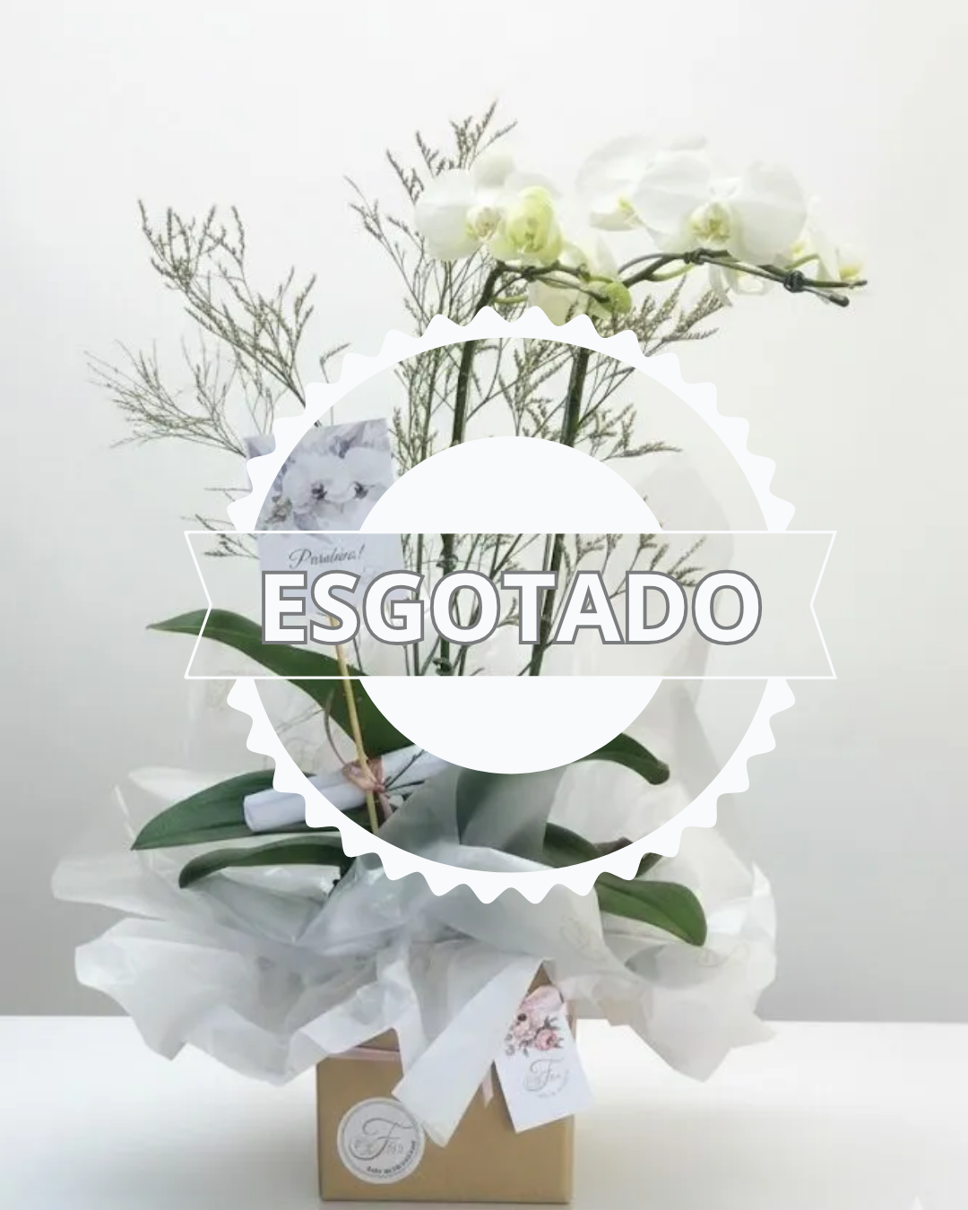 Orquídea na Caixa