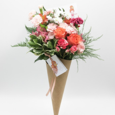 Cone Mimoso