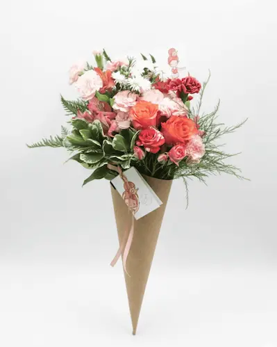 Cone Mimoso