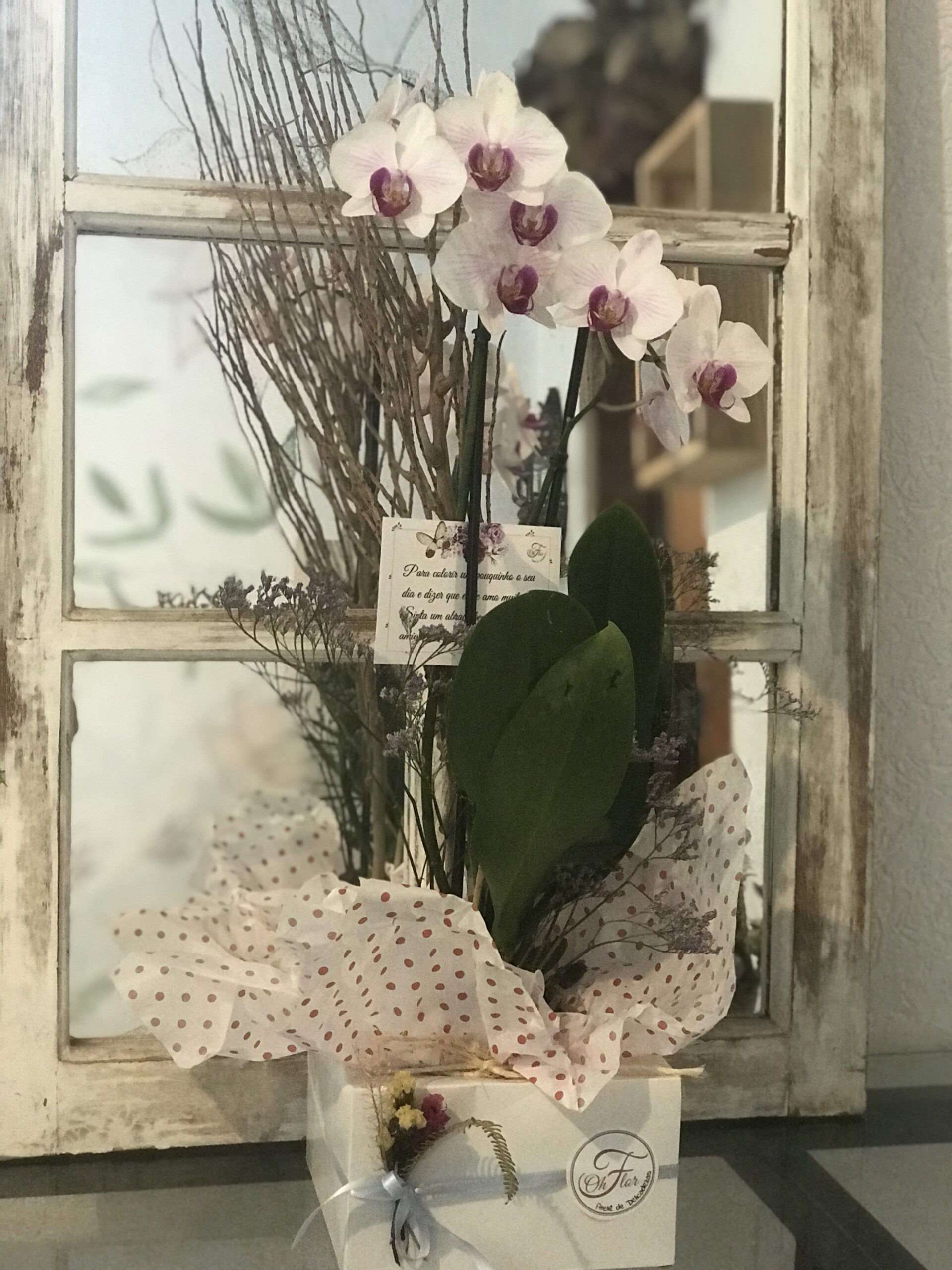 Orquídea na Caixa