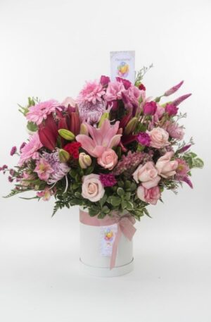 Box Delicadeza