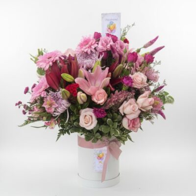 Box Delicadeza