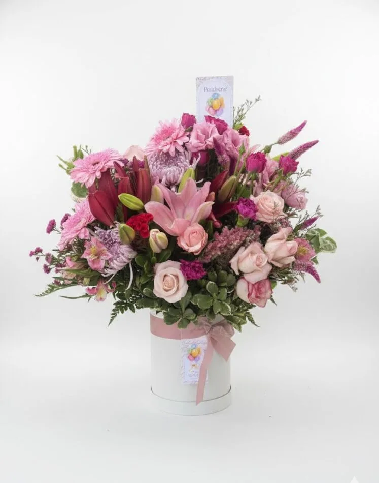 Box Delicadeza