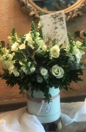 Box Delicadeza