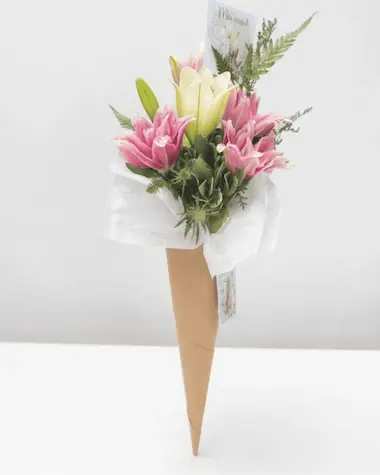 Maxi Cone