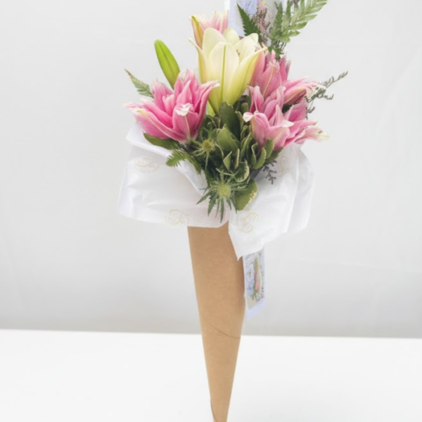 Maxi Cone