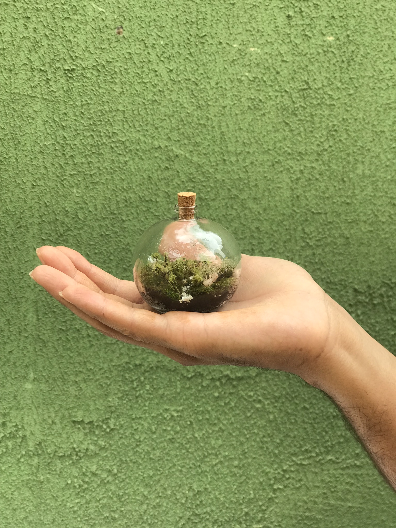 Terrário Gota  (unidade)