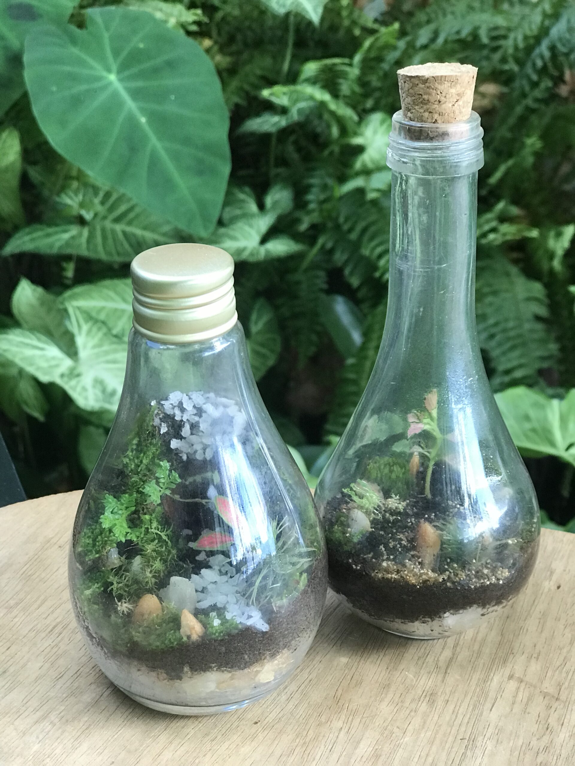 Kit Cacau Show Kit Cacau Show