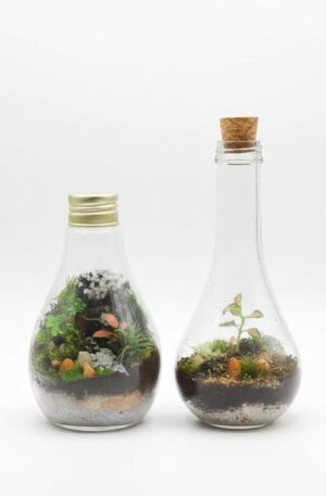 Terrário Gota  (unidade)
