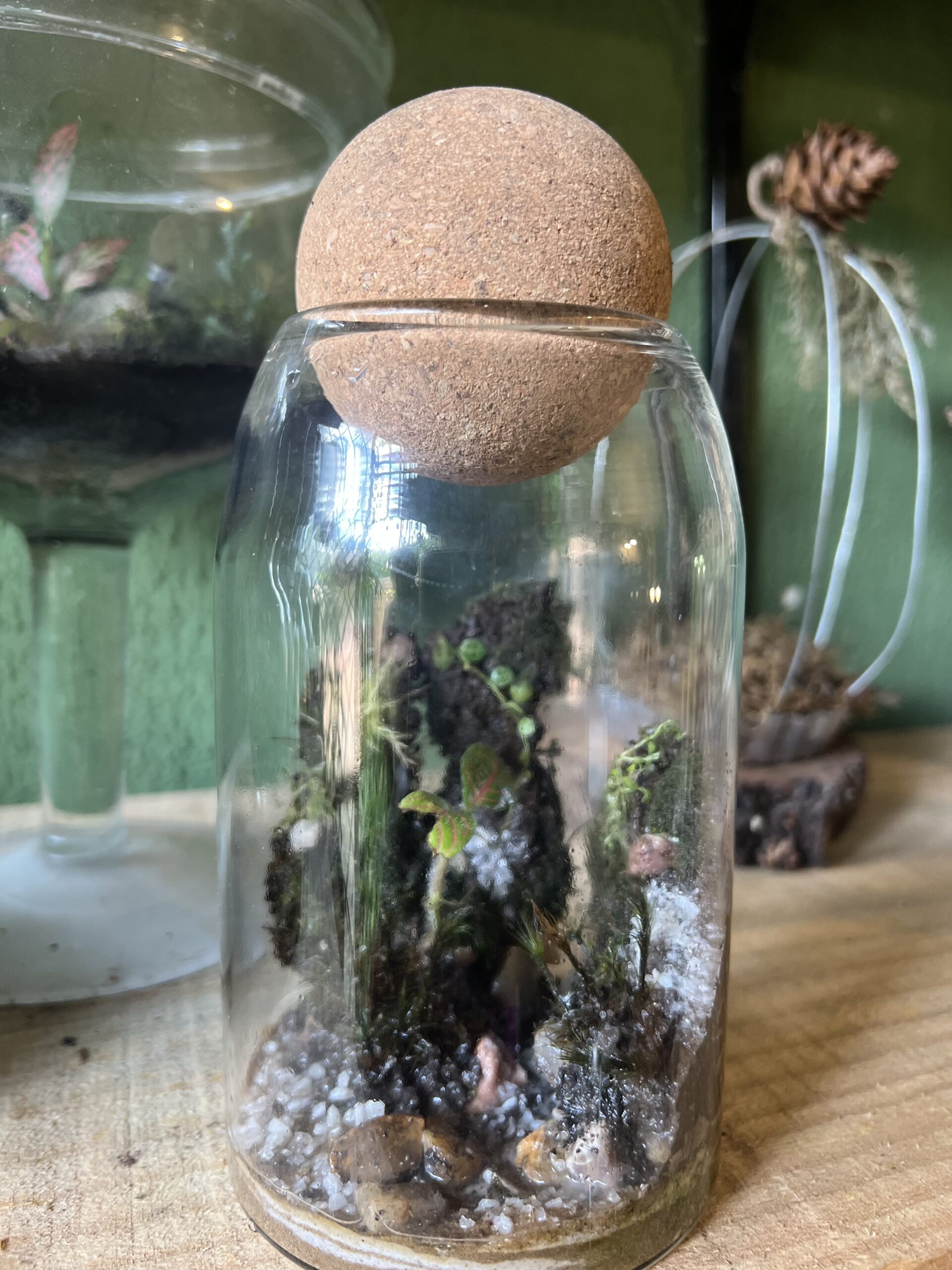 Lata de Rosas Colombianas Lata de Rosas Colombianas