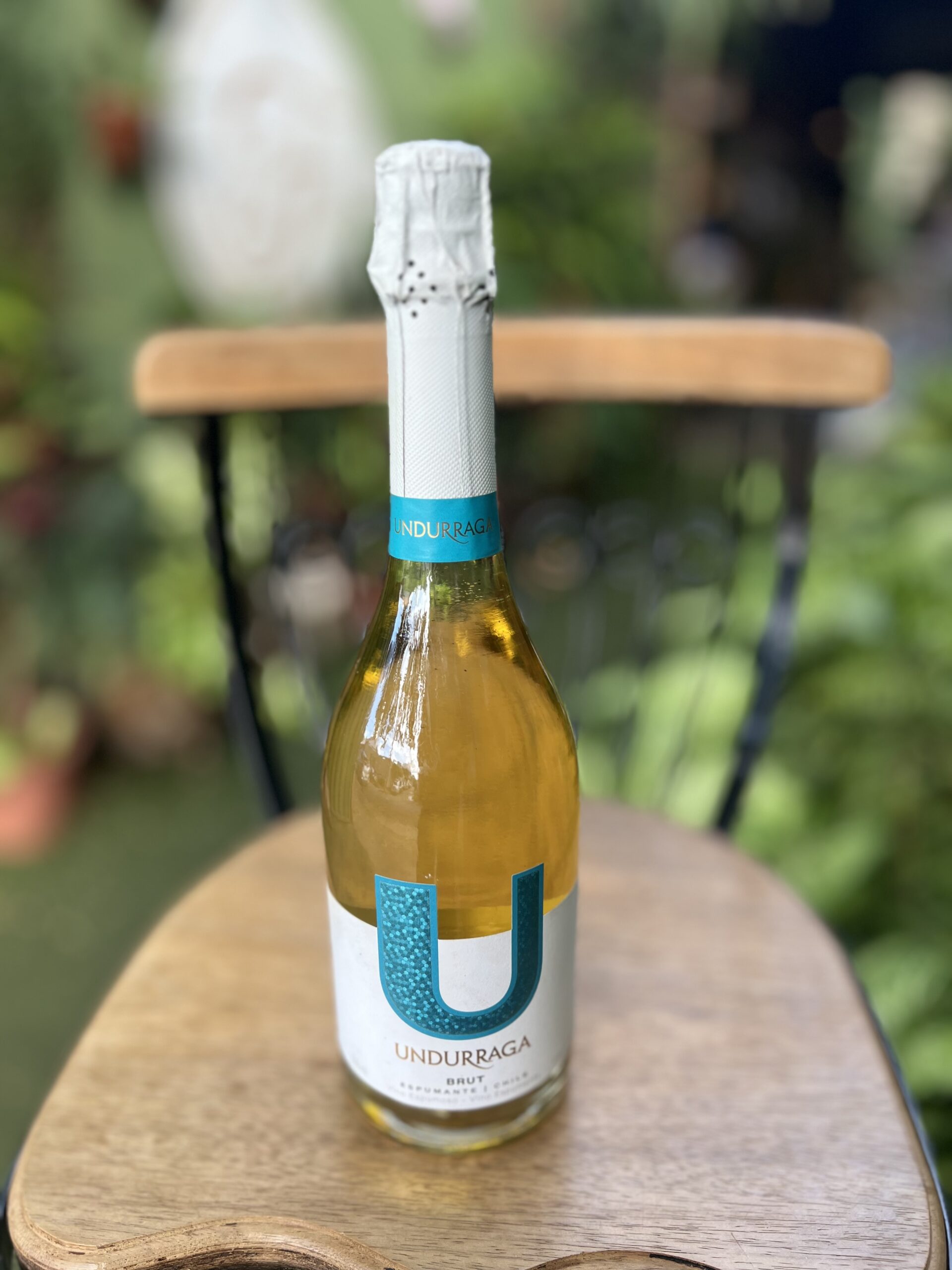 Cerveja Corona Cerveja Corona