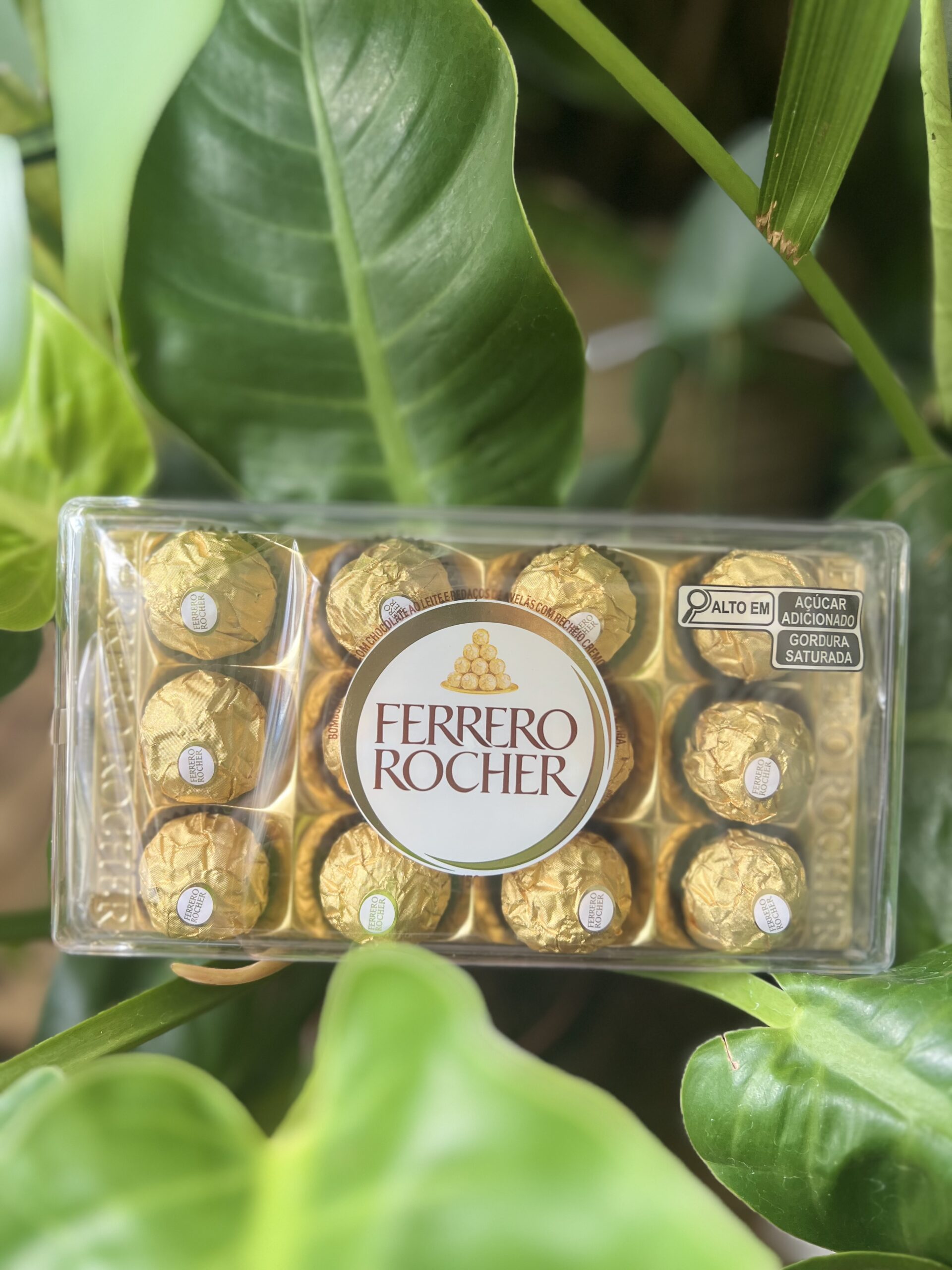 Cerveja Corona Cerveja Corona