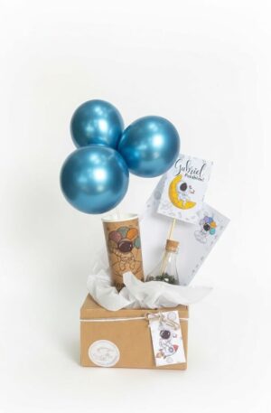 Kit Terrário Infantil