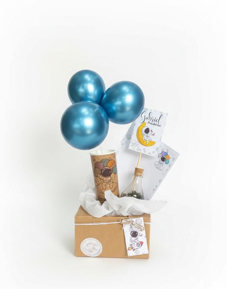 Kit Terrário Infantil