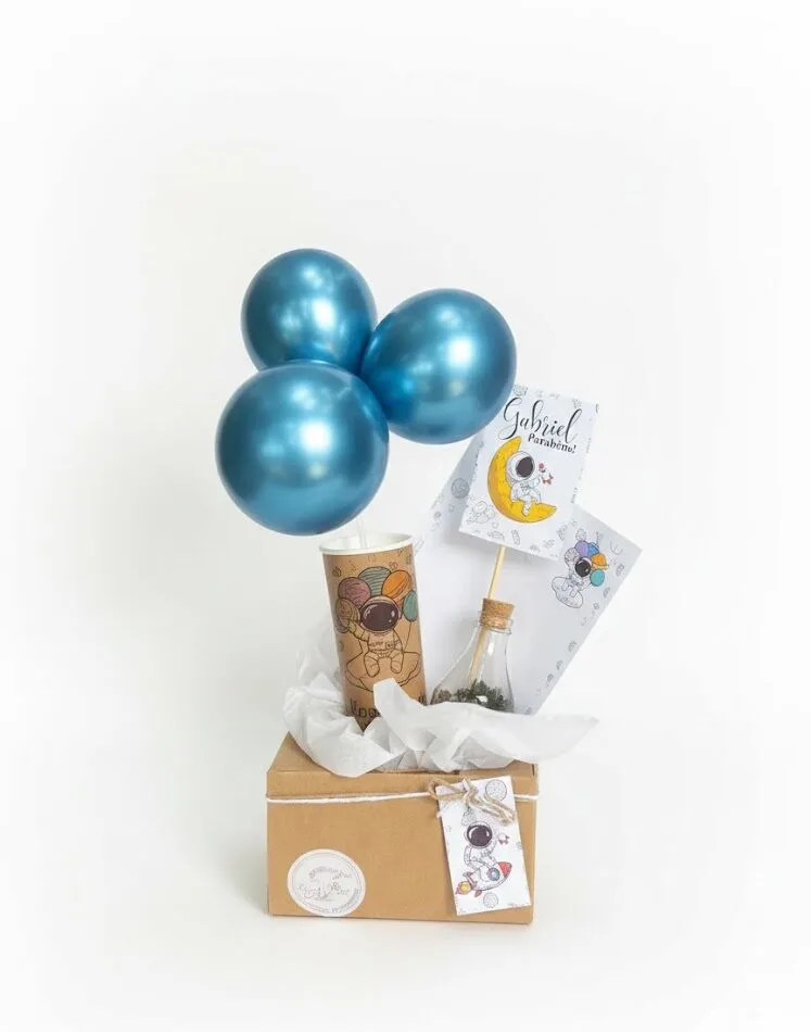Kit Terrário Infantil
