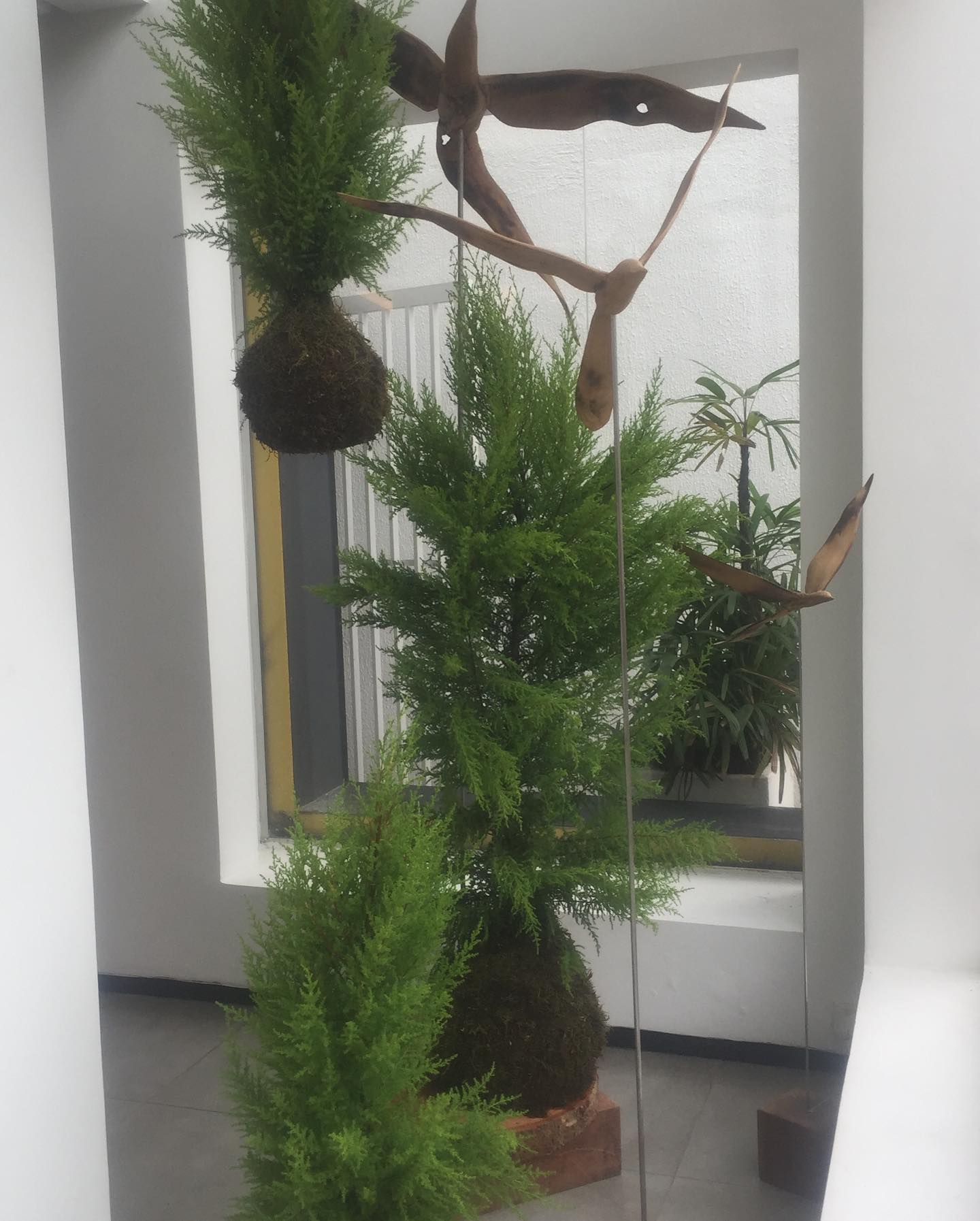 Kokedama - Imagem 8
