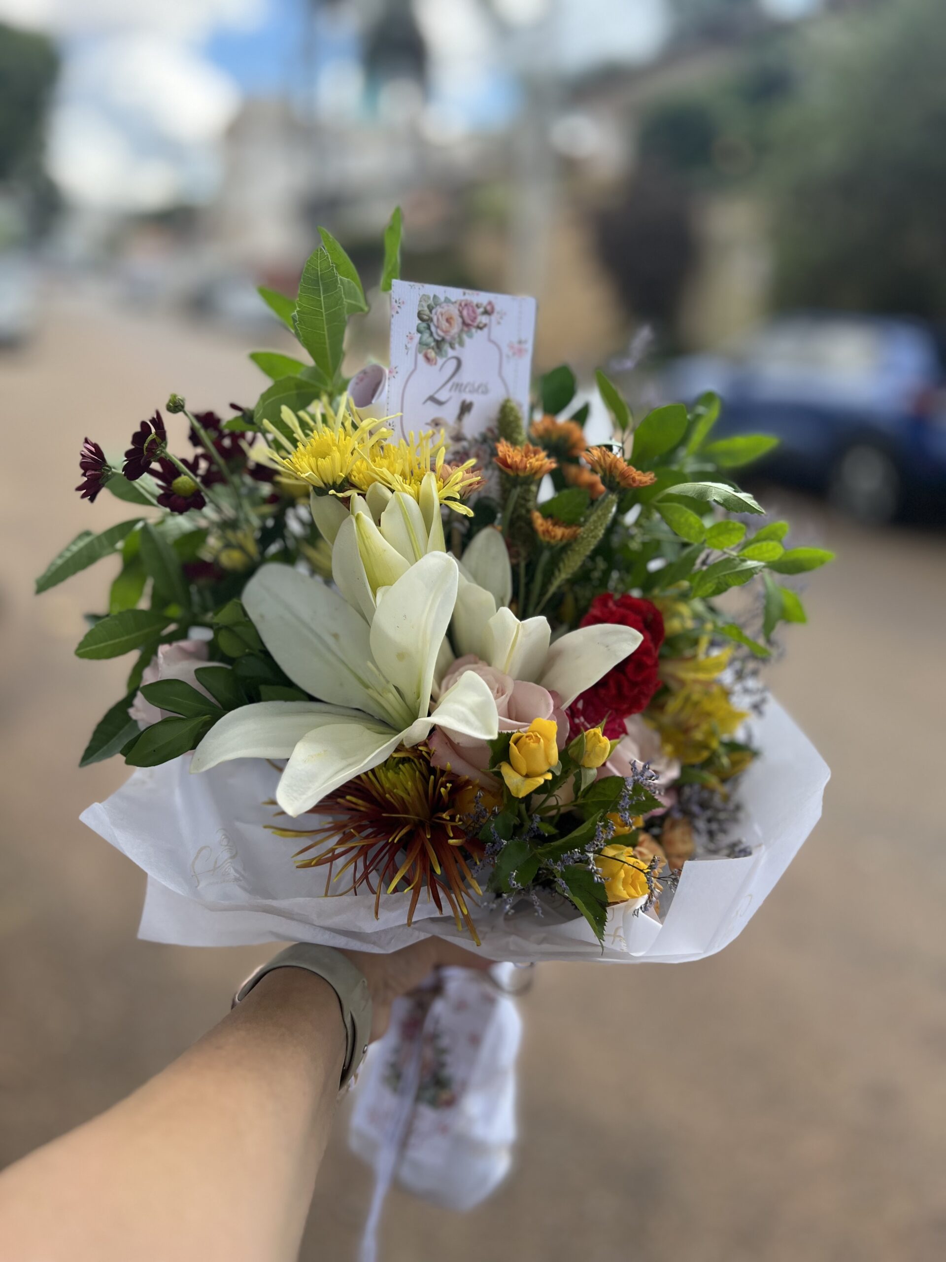 Orquídea na caixa Orquídea na caixa
