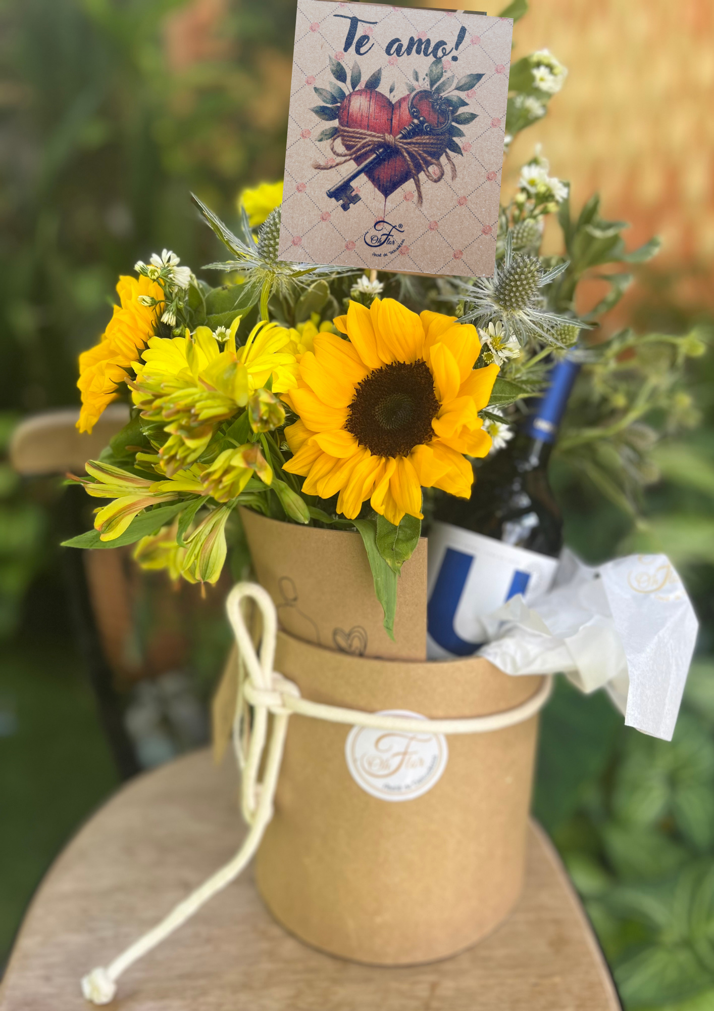 Box Ternura Amigurume