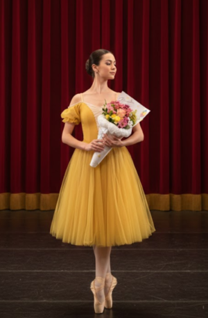 Cone Bailarina