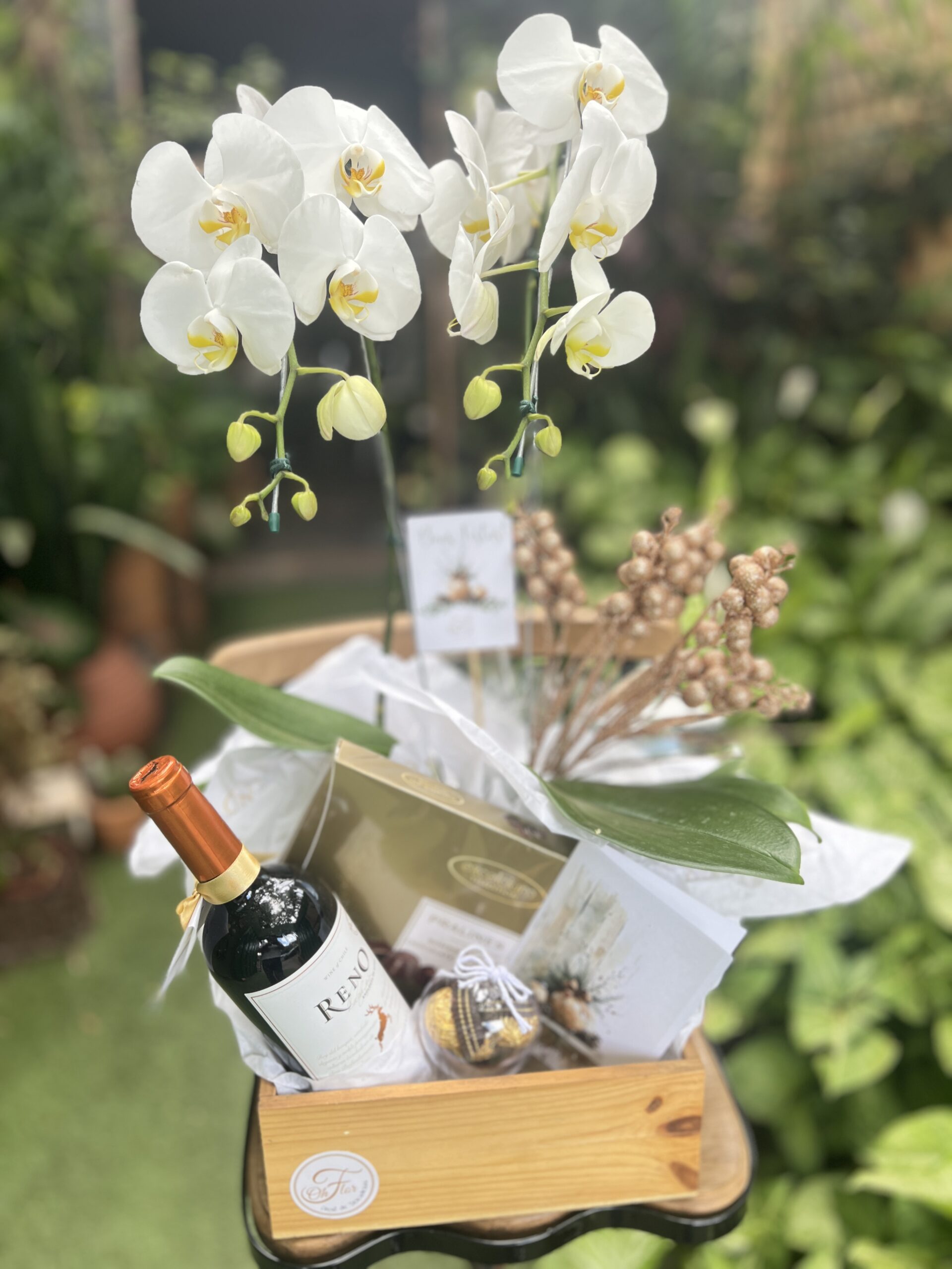 Cesta Feliz Natal Cesta Feliz Natal