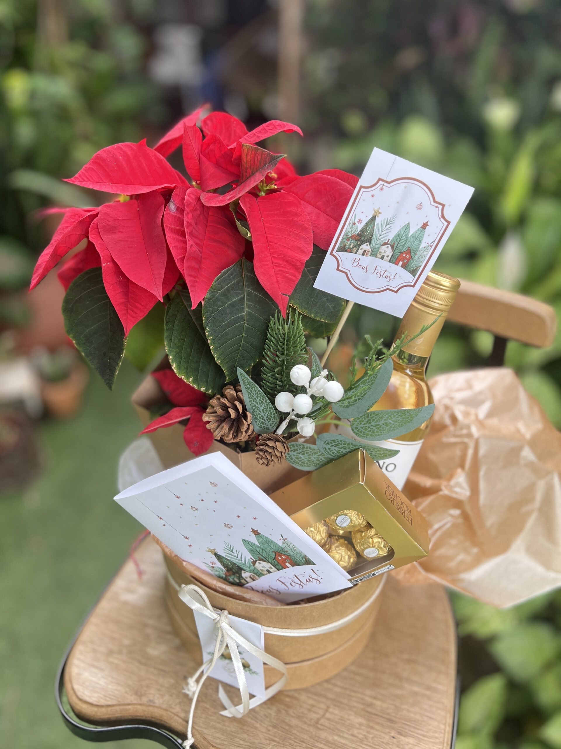 Cone de Natal Cone de Natal