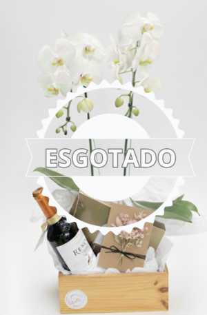 Cesta Orquídea Presente