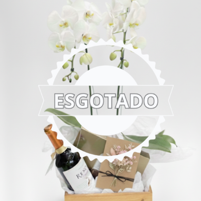 Cesta Orquídea Presente