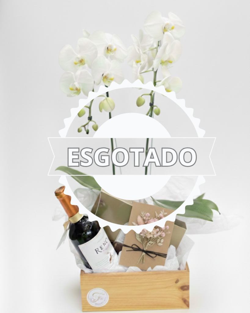 Cesta Orquídea Presente