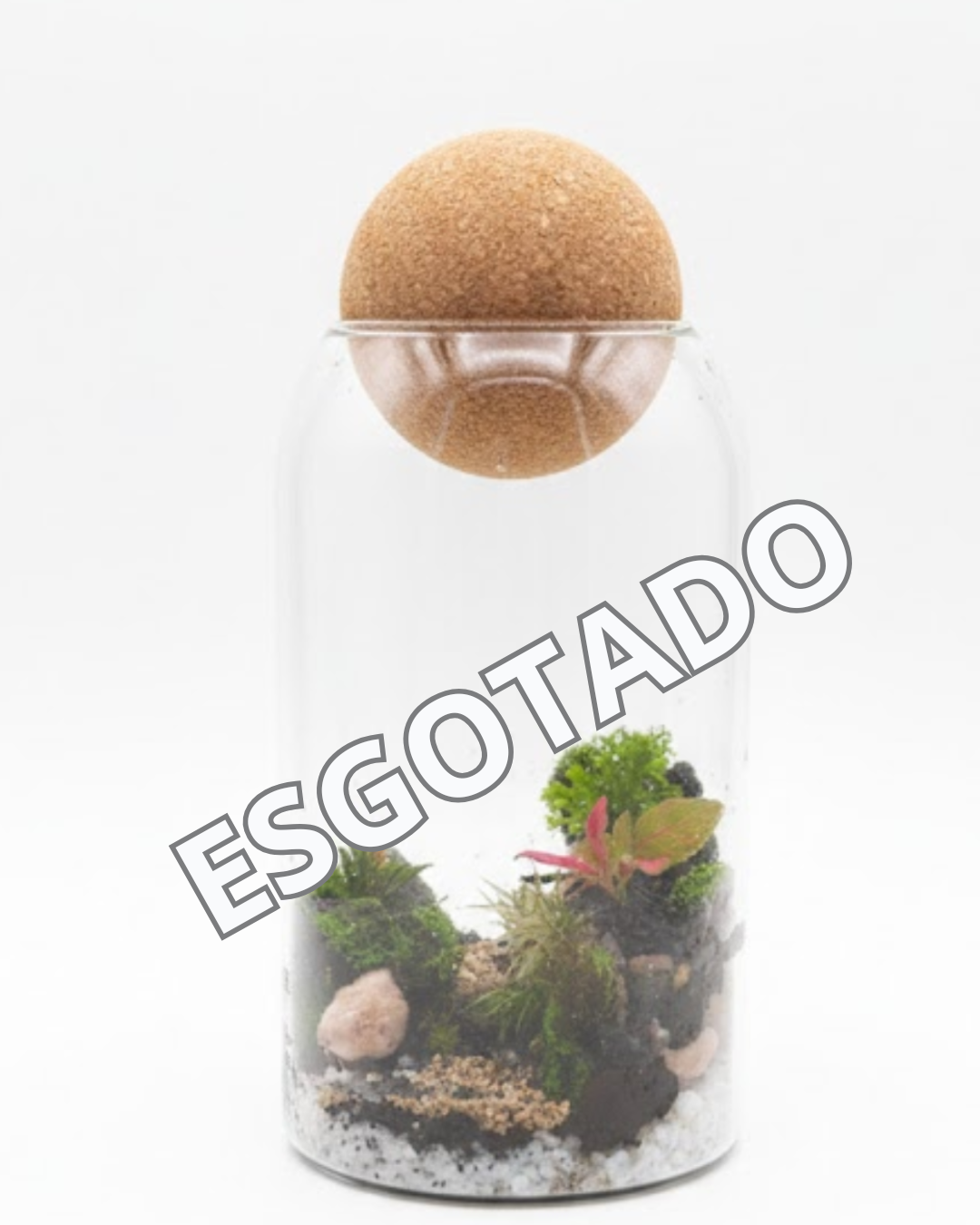 Terrário Refúgio