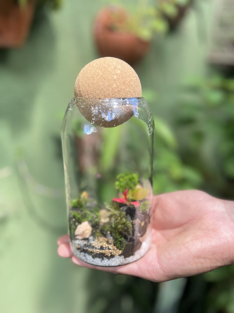Terrário em Goiânia