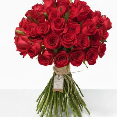 100 Rosas Vermelhas