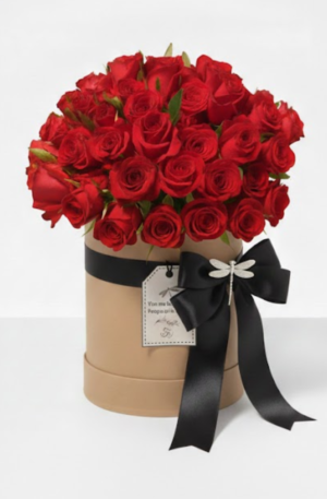 Box 60 Rosas