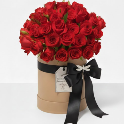Box 60 Rosas