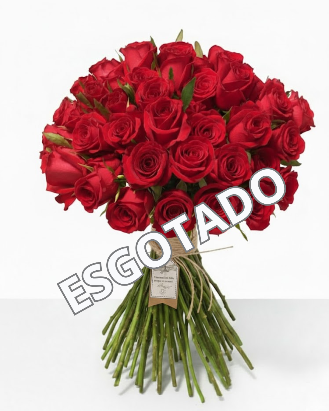 100 Rosas Vermelhas