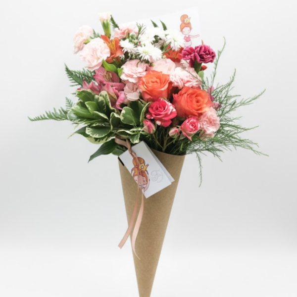 Cone Mimoso 3